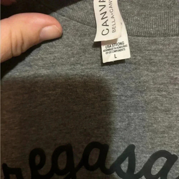 PREGASAURUS 🦖 MATERNITY SHIRT - Picture 3 of 6